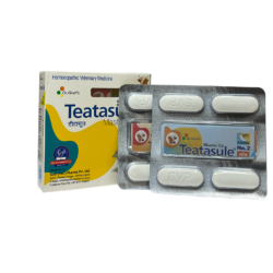 Teatasule Mastitis kit for cow and buffalo