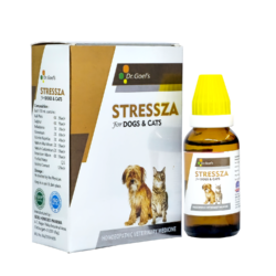 stress and anxiety