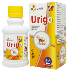 Urinary Tract