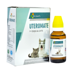 Uterine Problems