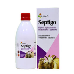 bacteremia and septicemia