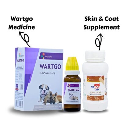 Cat Skin Infections