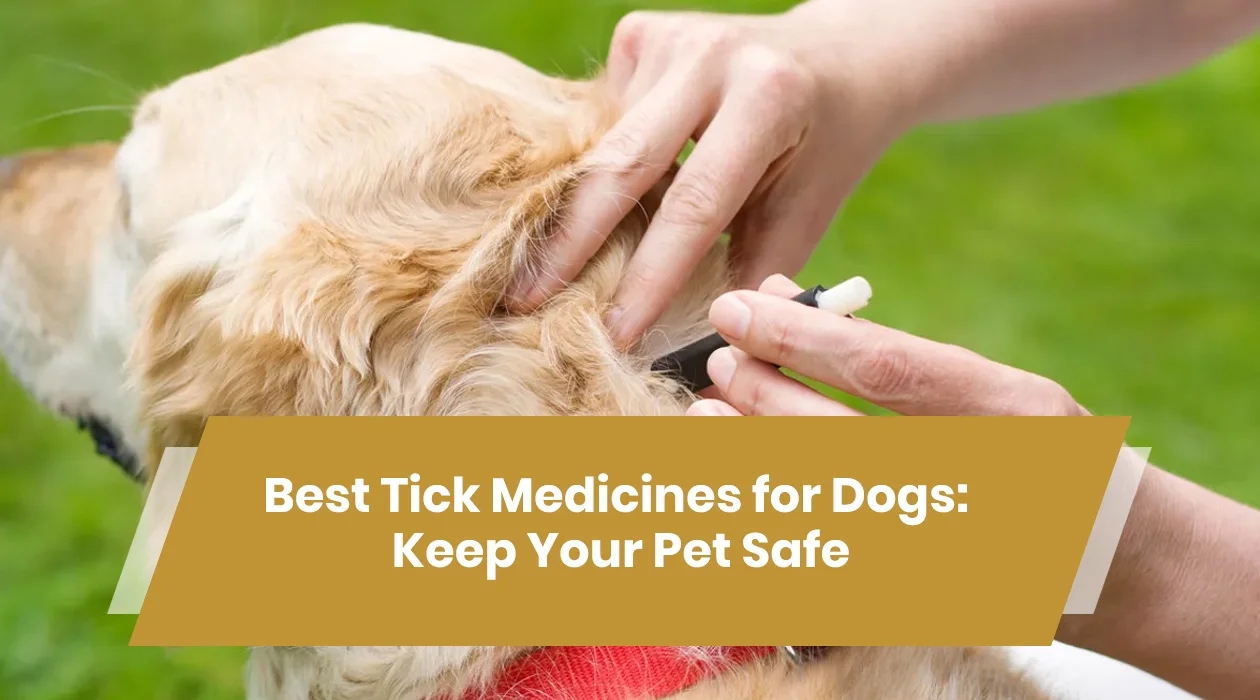 best tick medicine for dogs